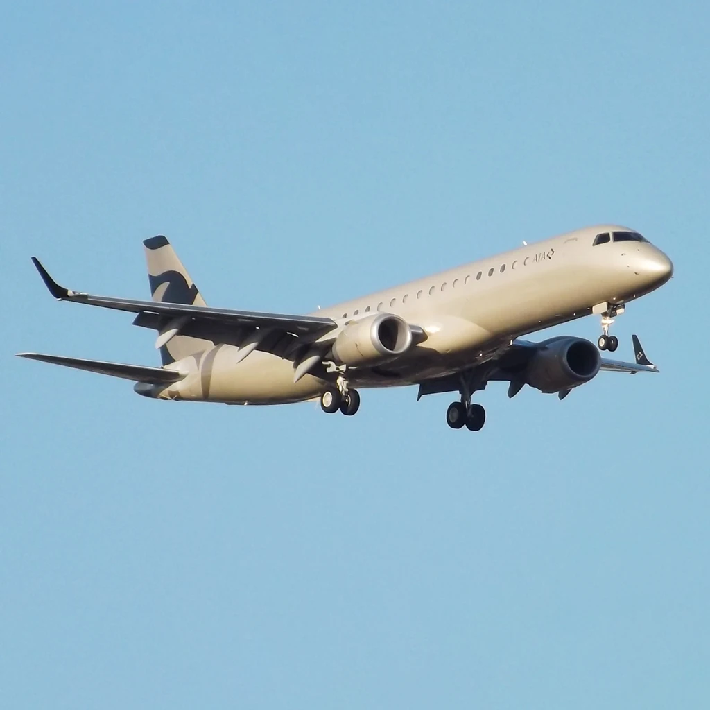 Large Corporate Airliner Airbus A319 Corporate Jet