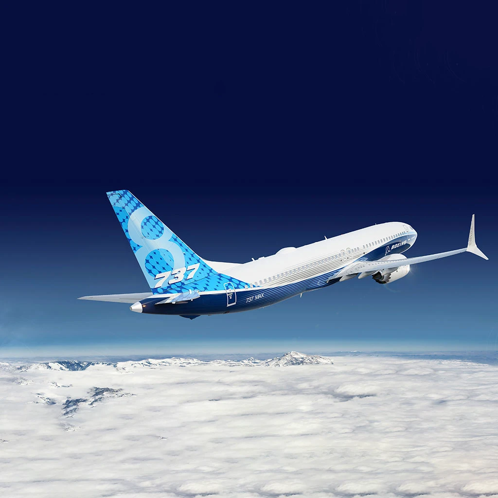 Boeing 737-700 evacuation aircraft